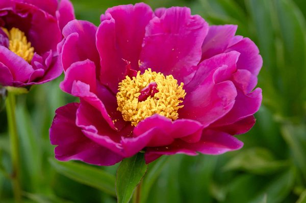 Wie kann man den eigenen Stil mit umweltfreundlichem Schmuck ausdrücken?