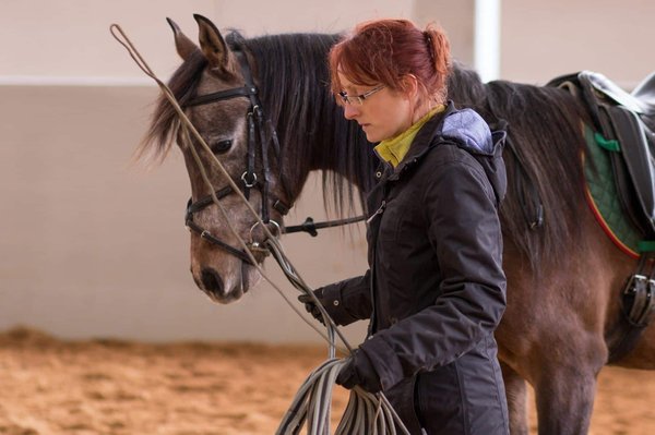 Wie kann ich meinem Hund beibringen, nicht an Besucher zu springen?